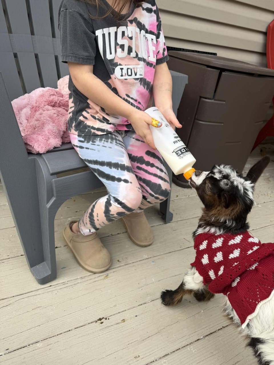 A child bottle-feeding a baby goat wearing a heart-patterned sweater