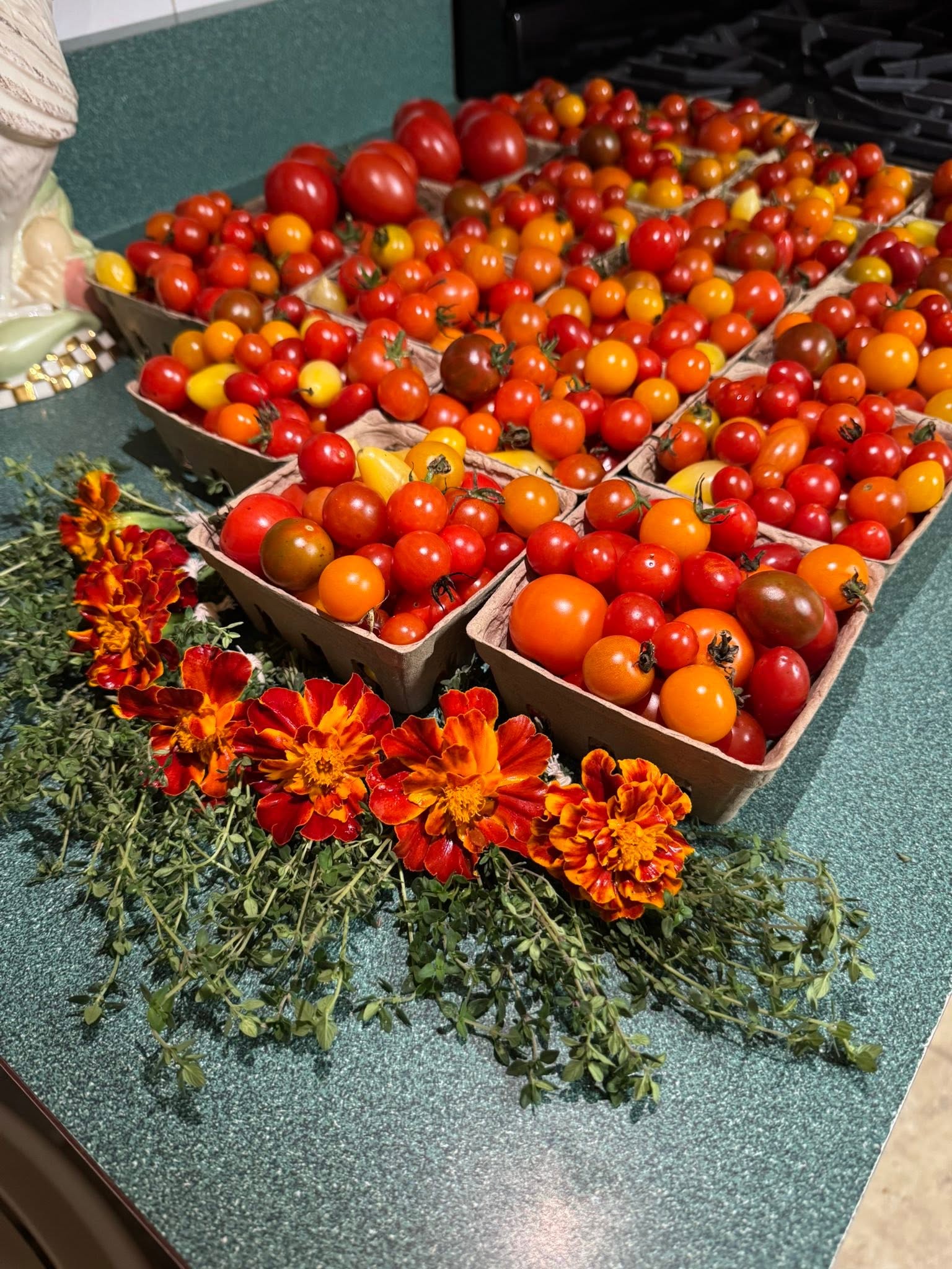 Baskets of colorful farm-grown tomatoes beside orange marigolds